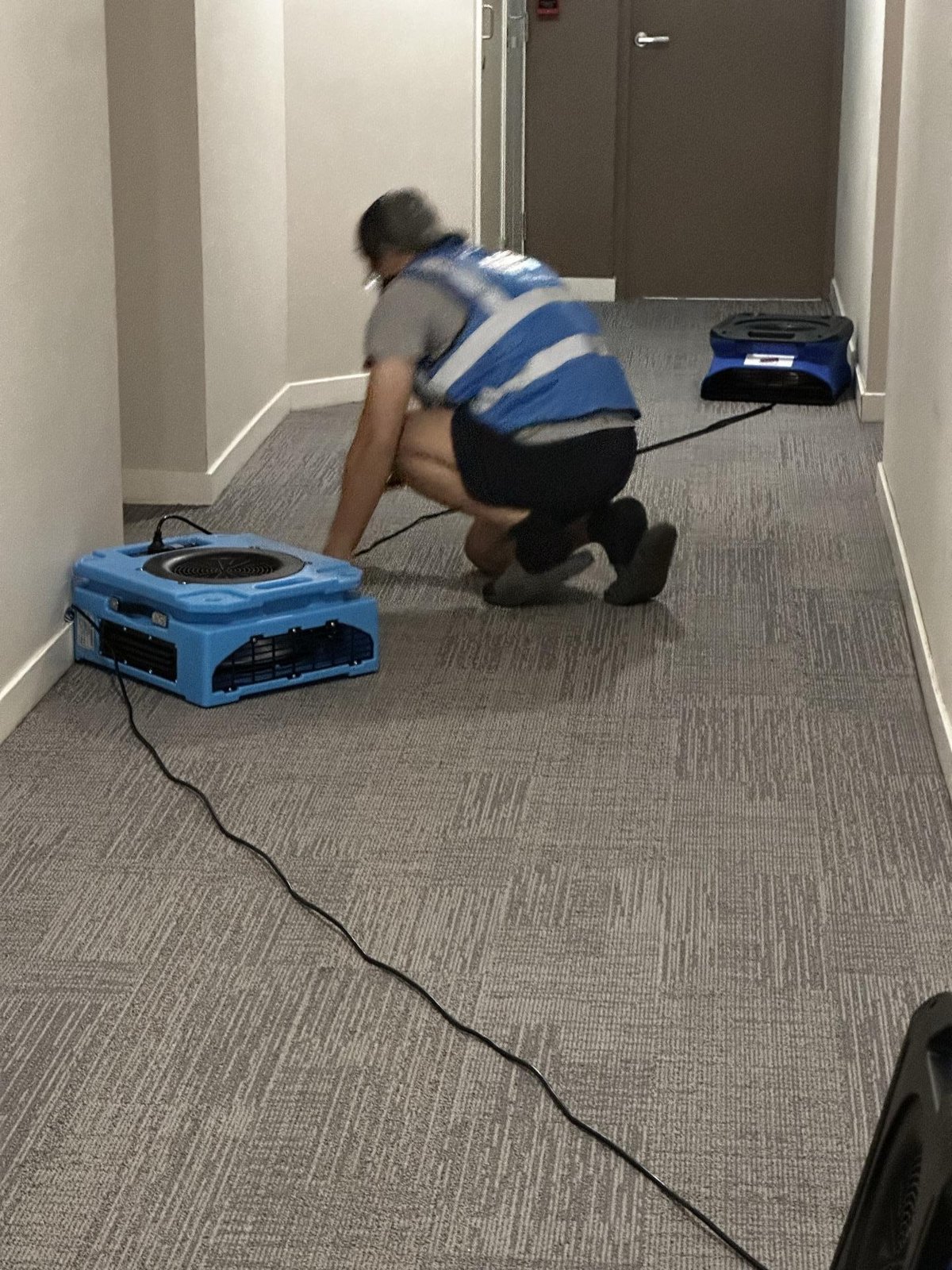 water damage in Springwood, October 2026