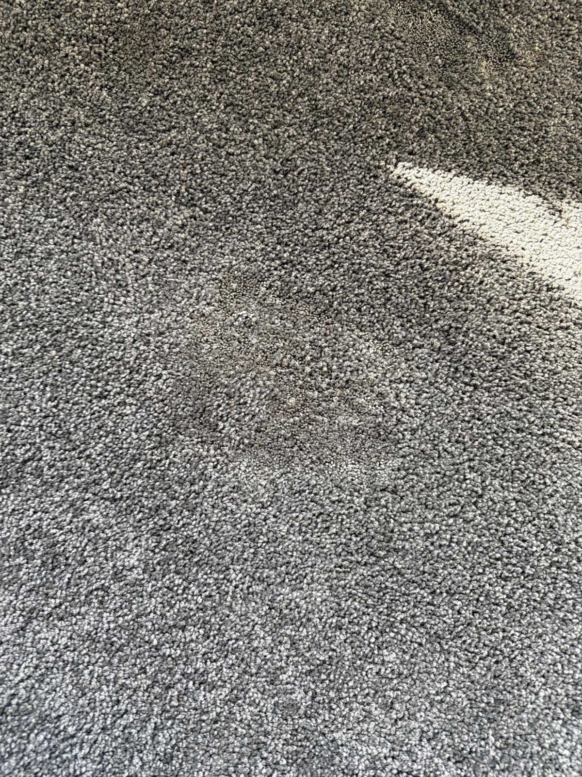 Close-up of grey carpet with a faint darker stained patch and a sunlit area.