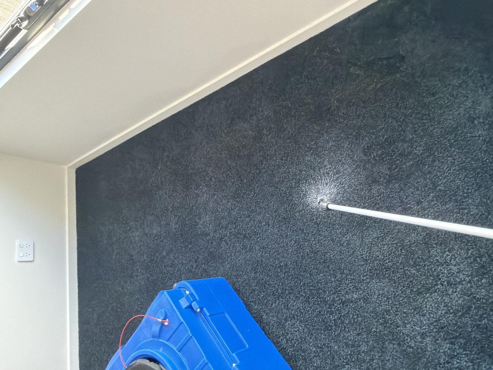 A blue air mover drying a dark carpeted room, with a moisture probe pushed into the carpet.