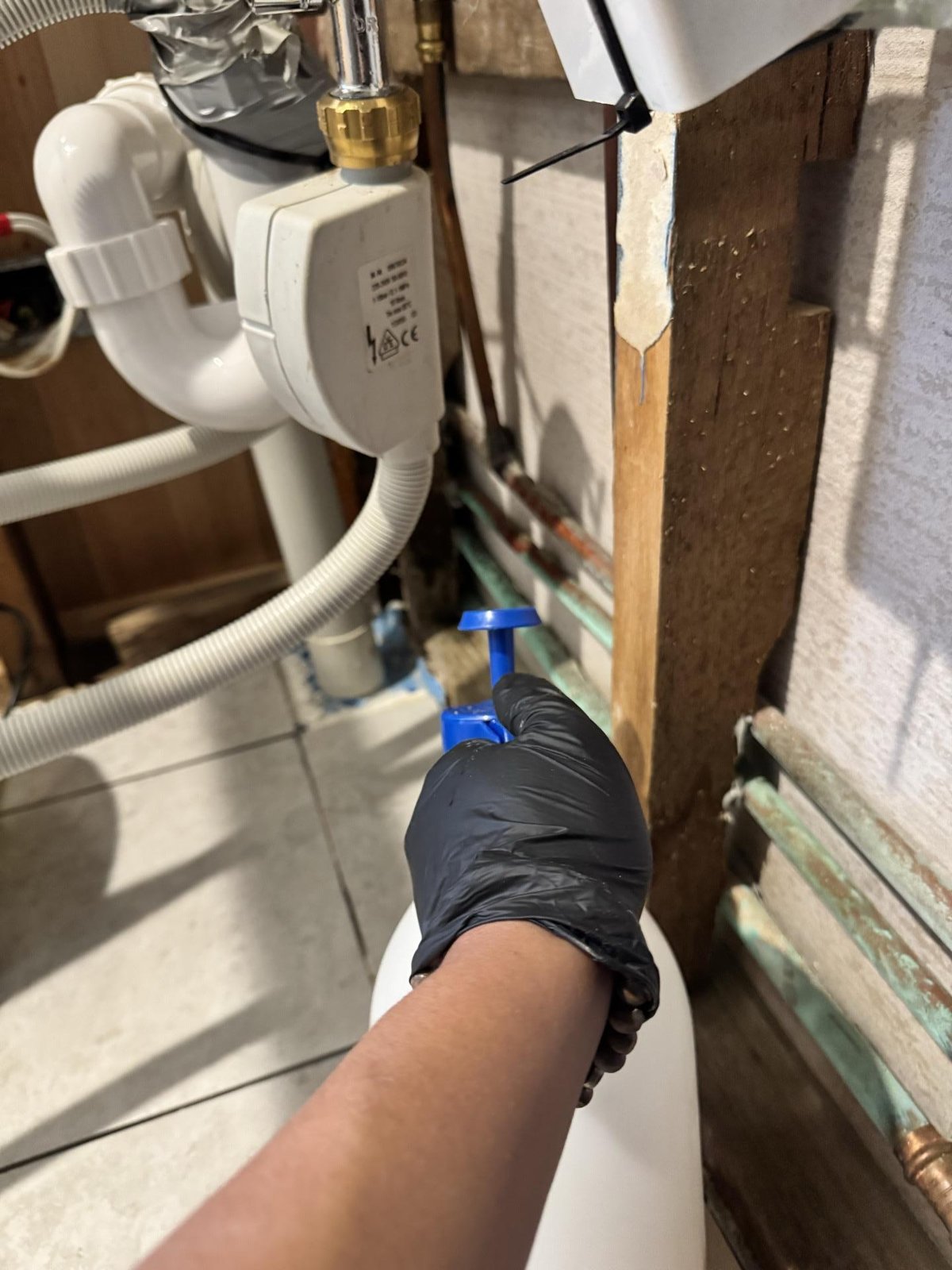A gloved technician uses a blue meter probe against a timber wall stud beside a sink's plumbing.