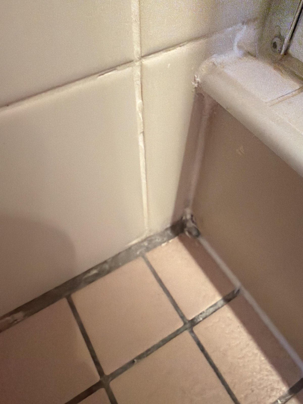 Dark mould staining along grout lines and a corner where tiled walls meet a tiled floor.