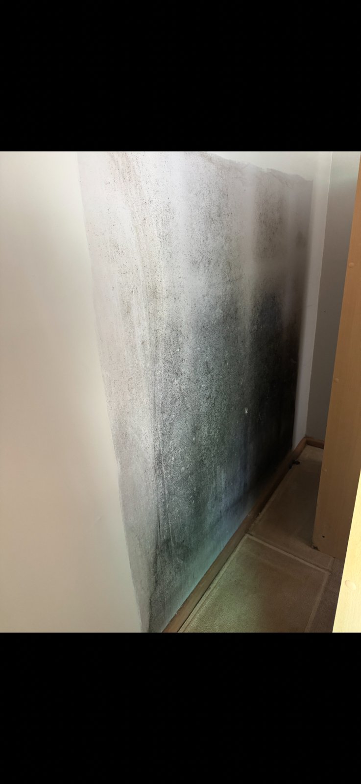 Dark mould staining across a wall corner above a skirting board in a narrow room.
