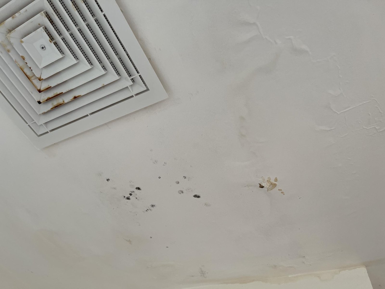 Dark mould spots and water staining on a white ceiling beside a square ceiling vent.