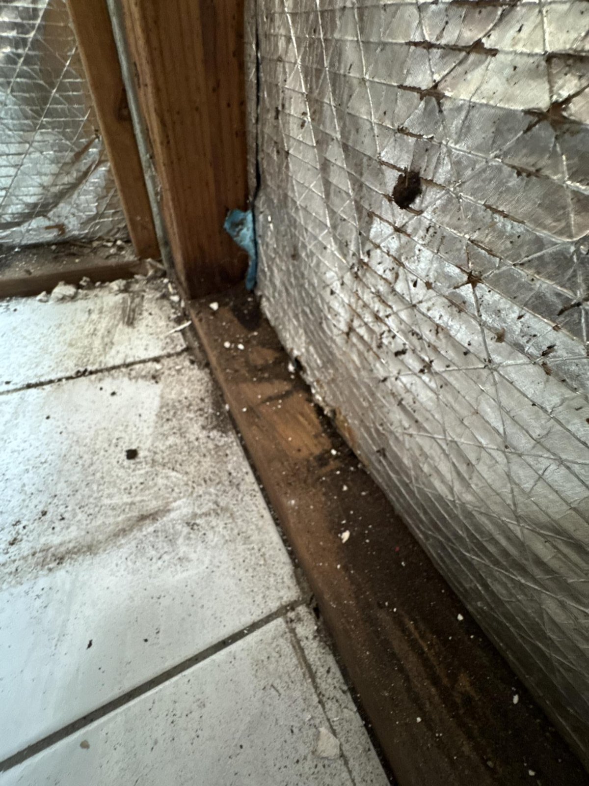 Stripped wall cavity with foil insulation exposed, dark staining and debris on the timber floor edge.