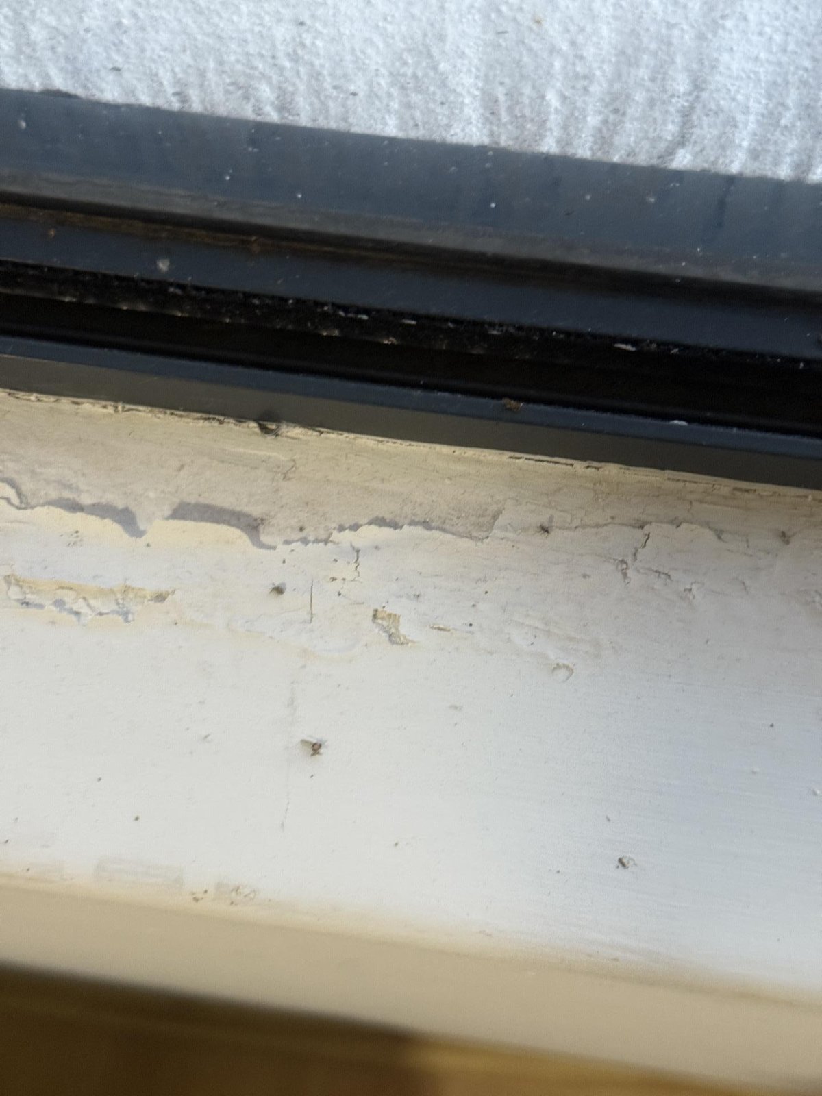 Close-up of a window sill with peeling paint and dark staining along the frame edge.