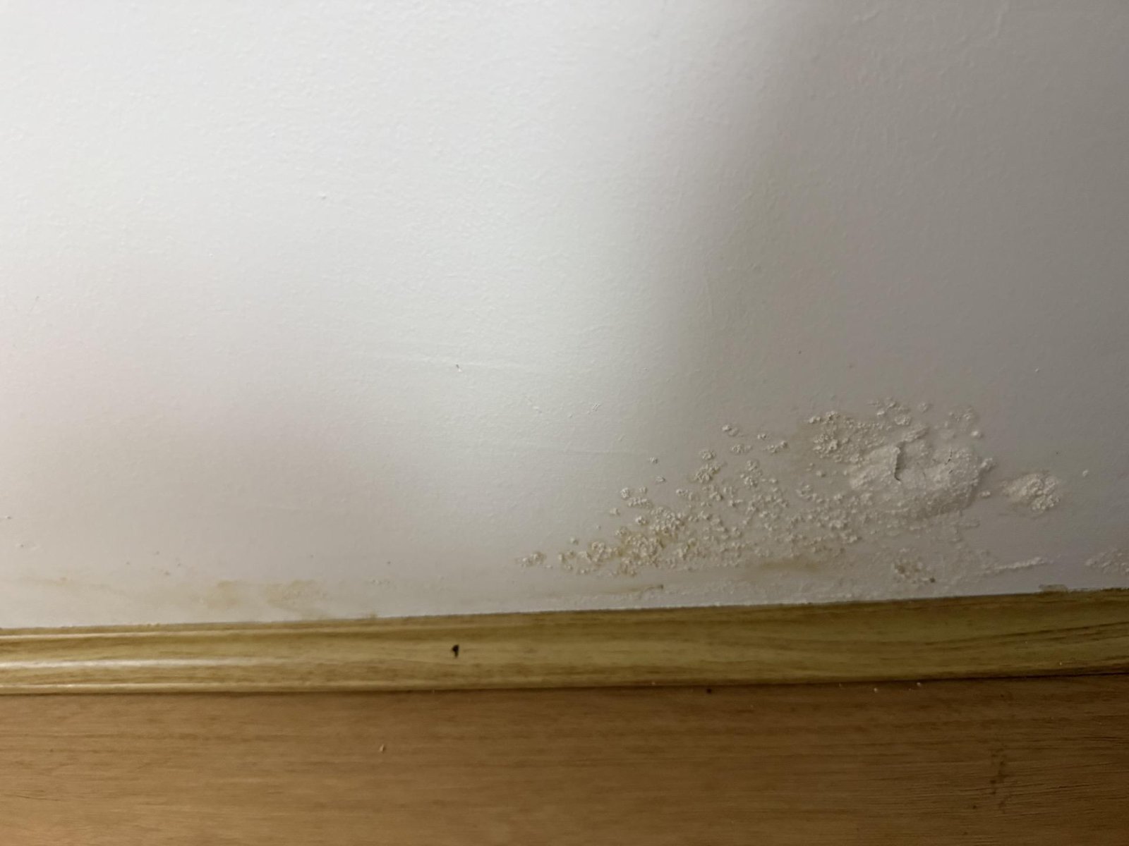 Crumbling white wall paint and staining above a timber skirting board.