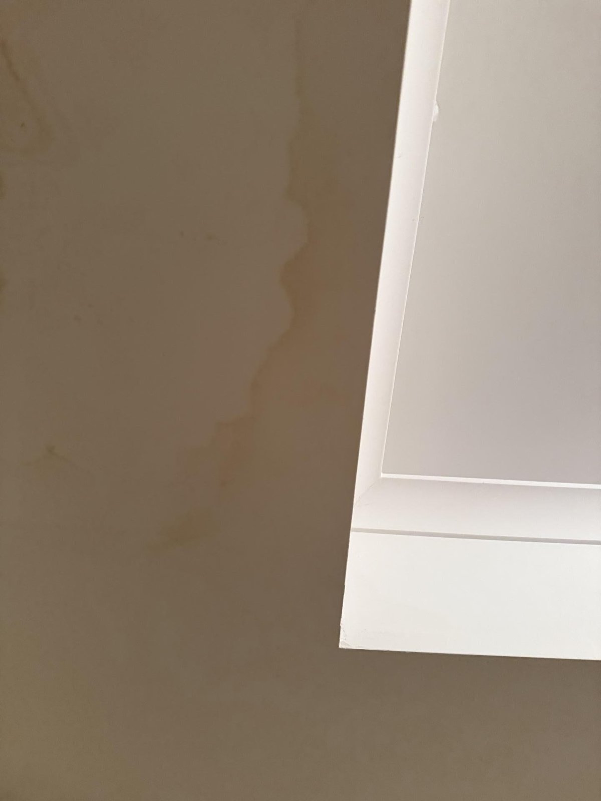 Brown water staining running down a painted wall beside a white ceiling cornice.