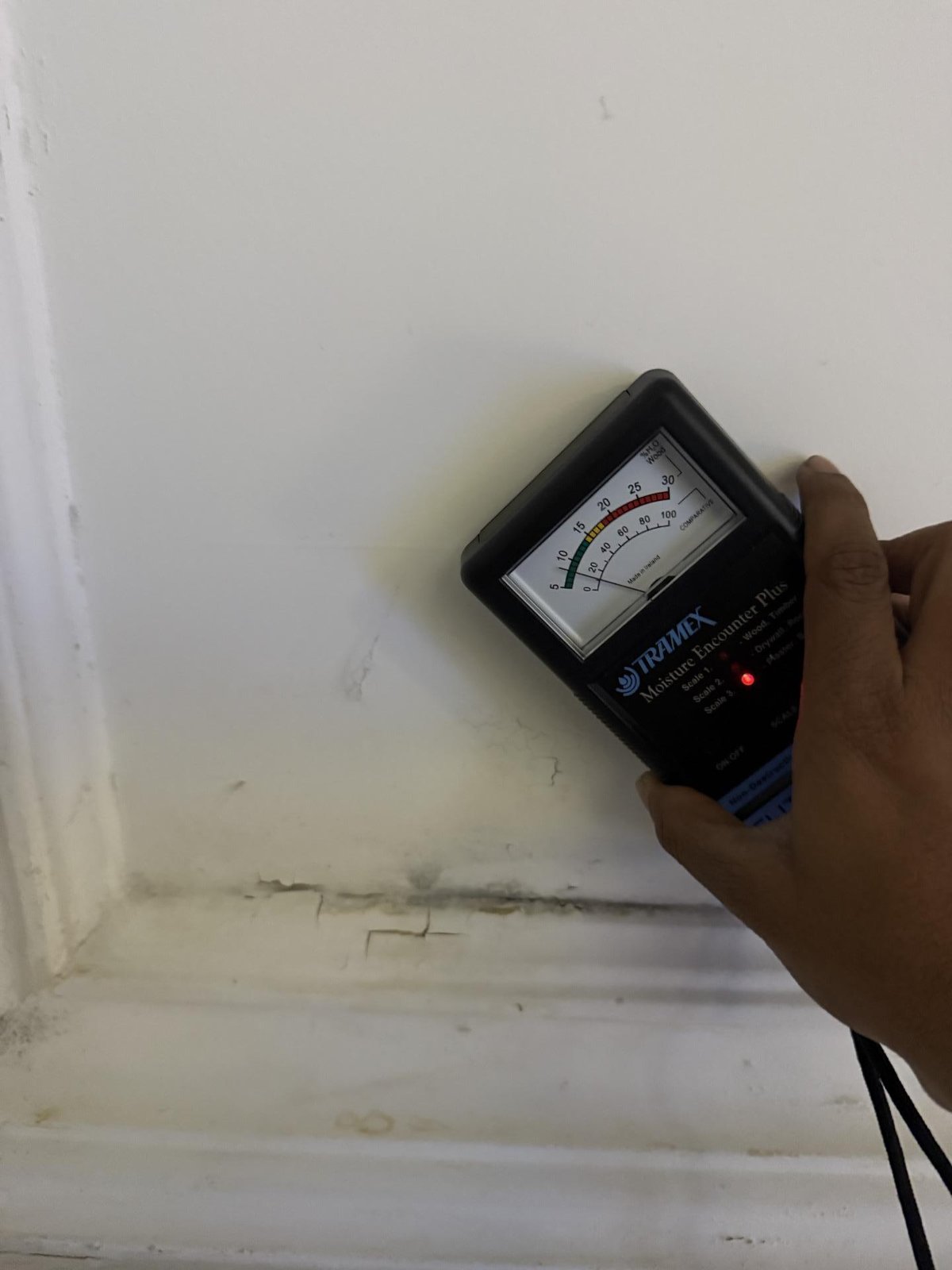 A technician checks a wall with a moisture meter beside staining and a dark mould-like line at the skirting.
