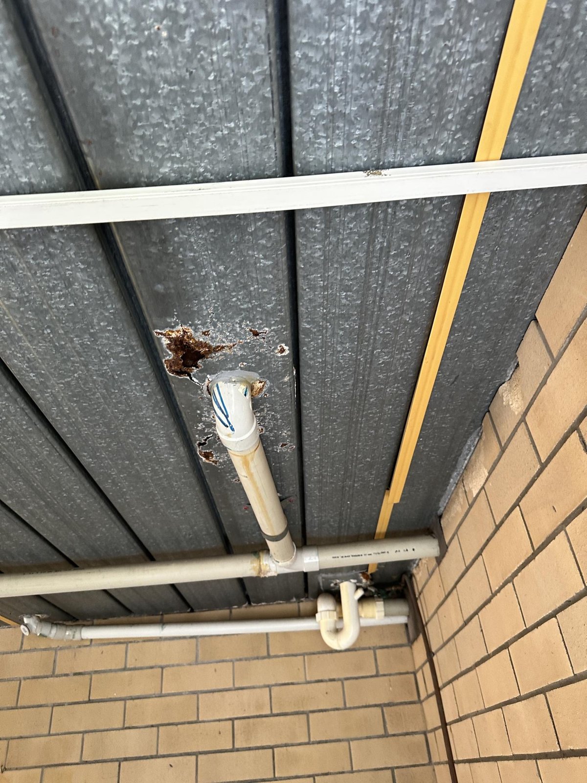 Rusted patches on a galvanised ceiling around a white PVC downpipe and drainage pipes.