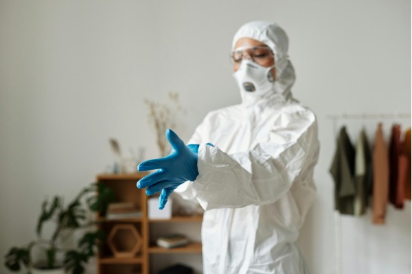 Brisbane Mould Remediation Experts